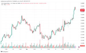 تحليل-NZDUSD-25-9-2024
