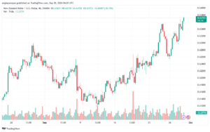 تحليل-NZDUSD-30-9-2024