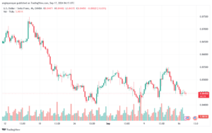 تحليل-USDCHF-17-9-2024