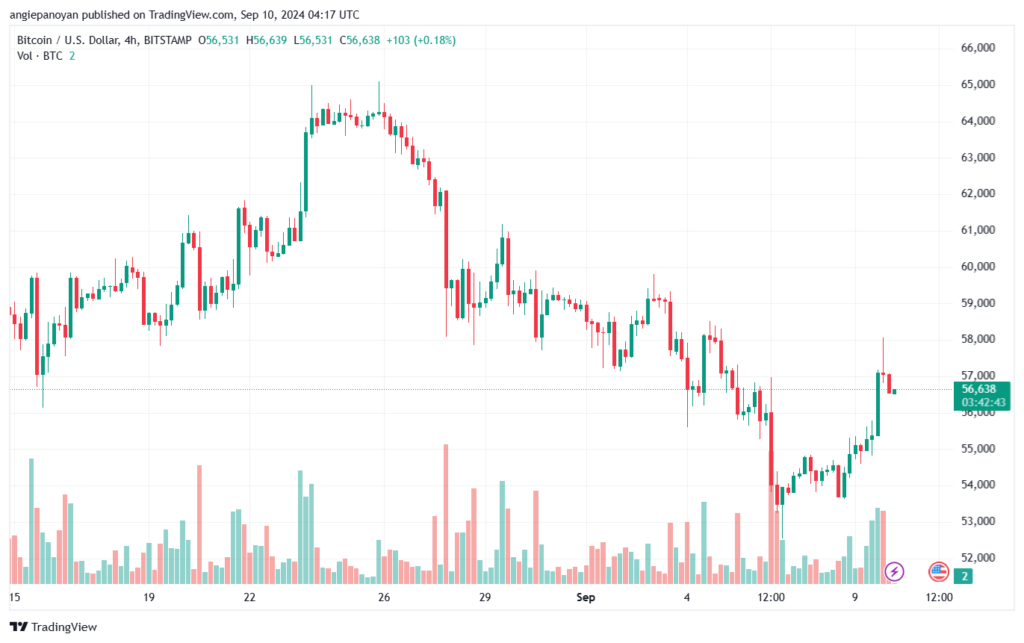 تحليل البتكوين دولار BTCUSD-10-9-2024