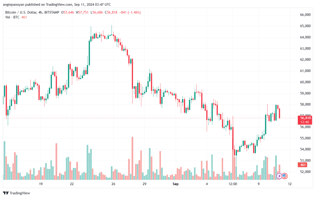 تحليل البتكوين دولار BTCUSD-11-9-2024