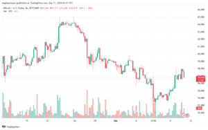 تحليل البتكوين دولار BTCUSD-11-9-2024