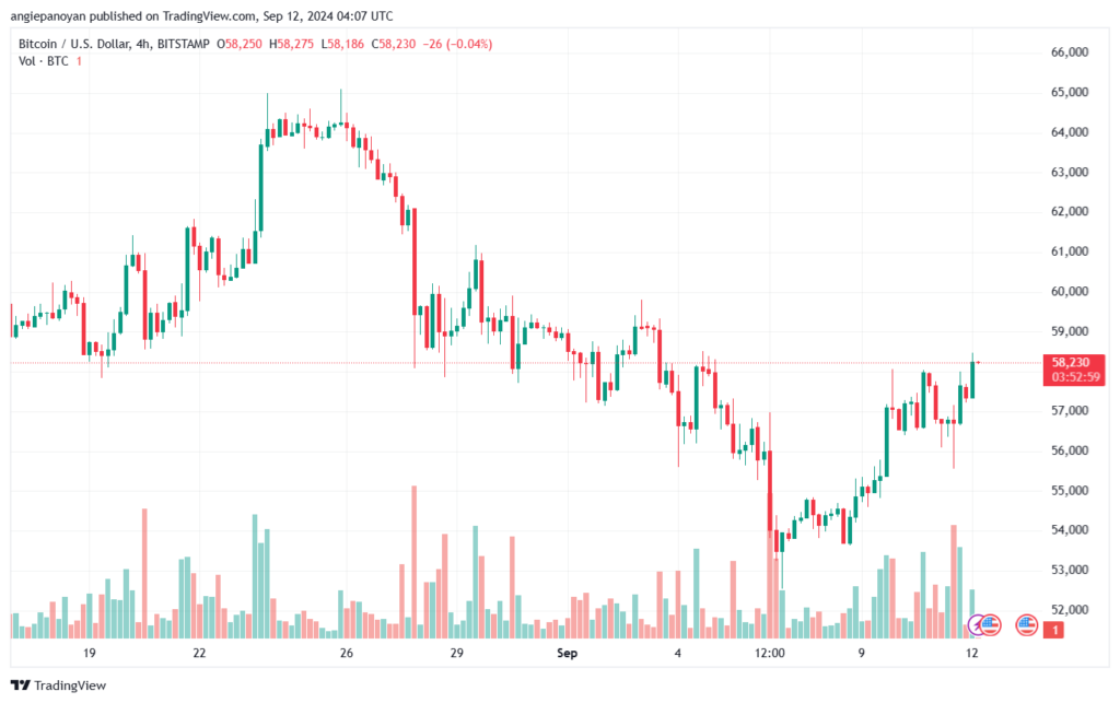 تحليل البتكوين دولار BTCUSD-12-9-2024