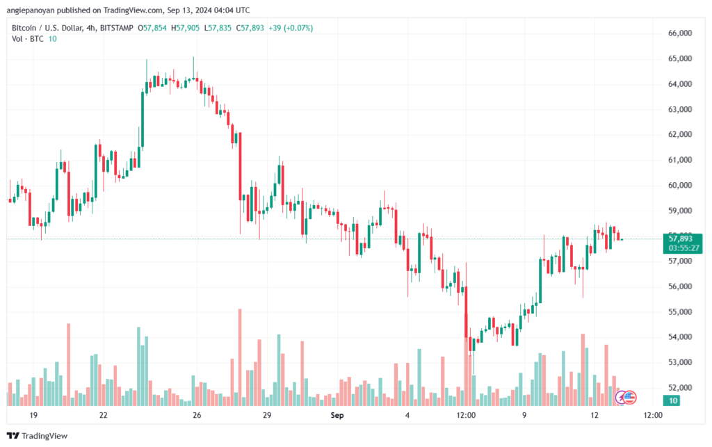 تحليل البتكوين دولار BTCUSD-13-9-2024