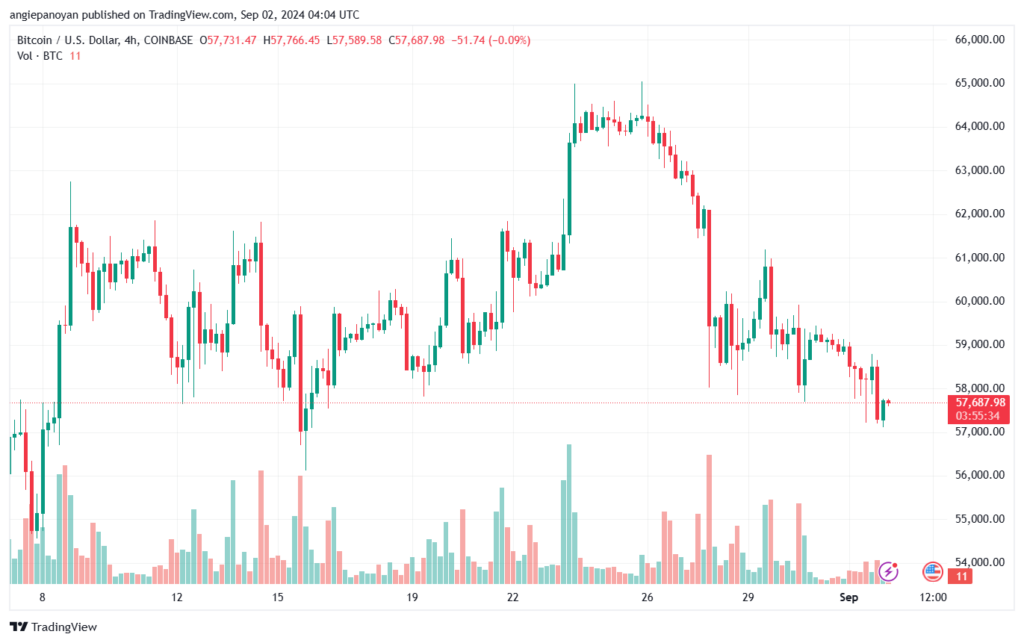 تحليل البتكوين دولار BTCUSD-2-9-2024