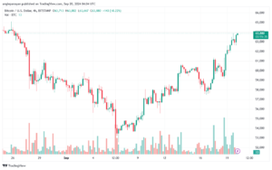 تحليل البتكوين دولار BTCUSD-20-9-2024