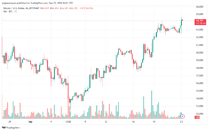 تحليل البتكوين دولار BTCUSD-23-9-2024