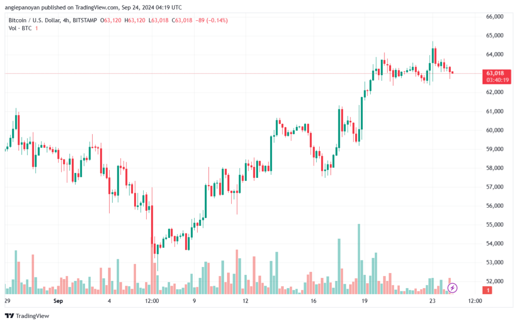 تحليل البتكوين دولار BTCUSD-24-9-2024