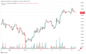 تحليل البتكوين دولار BTCUSD-24-9-2024
