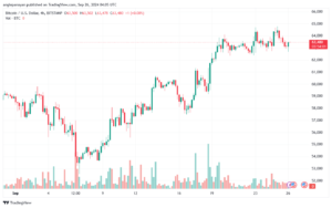 تحليل البتكوين دولار BTCUSD-26-9-2024