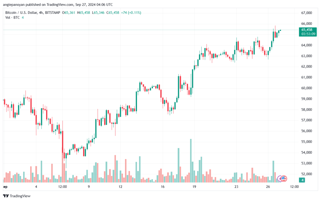 تحليل البتكوين دولار BTCUSD-27-9-2024