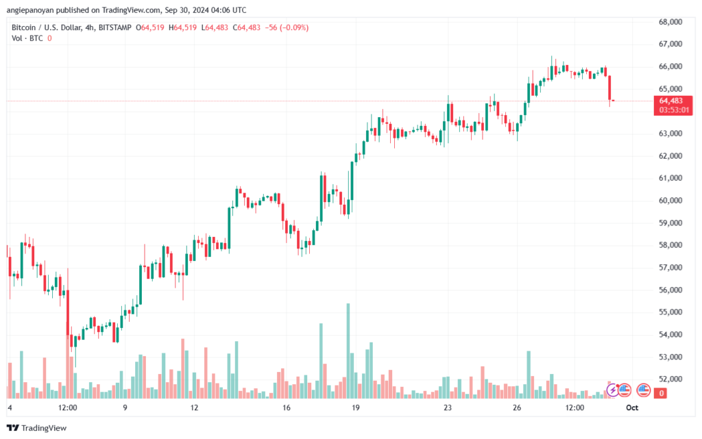 تحليل البتكوين دولار BTCUSD-30-9-2024