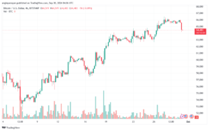 تحليل البتكوين دولار BTCUSD-30-9-2024