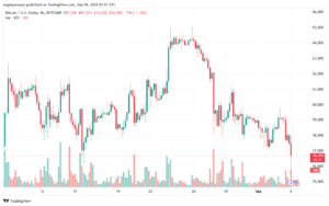 تحليل البتكوين دولار BTCUSD-4-9-2024
