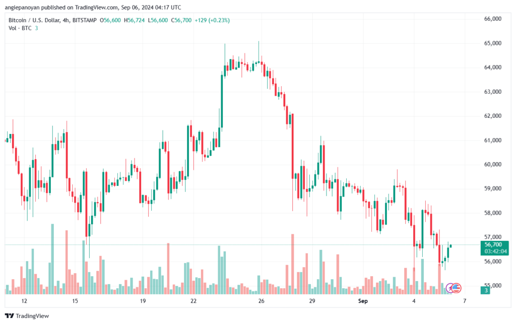 تحليل البتكوين دولار BTCUSD-6-9-2024