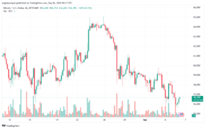 تحليل البتكوين دولار BTCUSD-6-9-2024