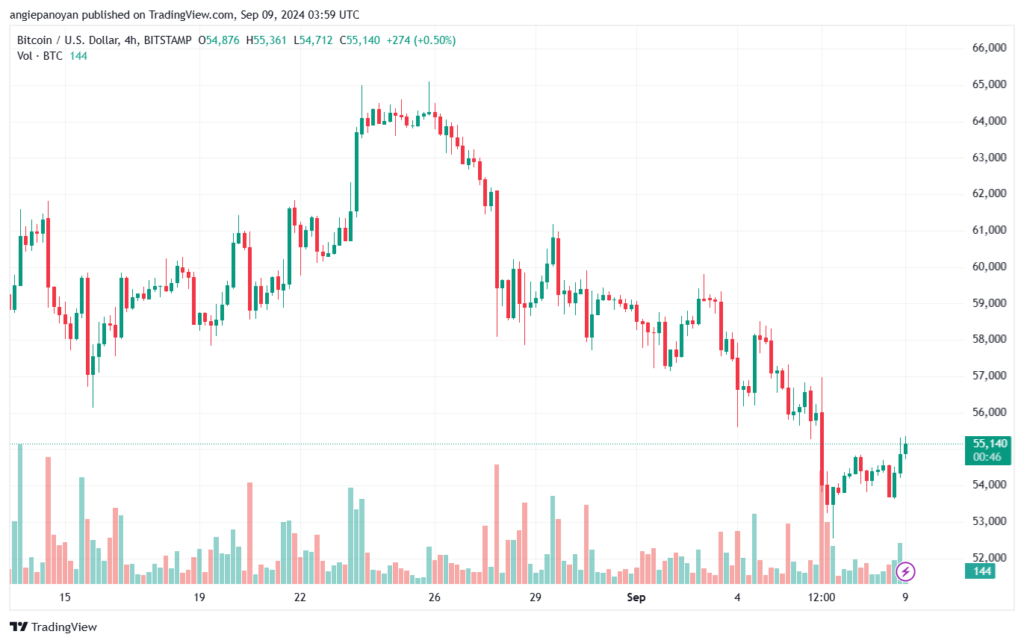 تحليل البتكوين دولار BTCUSD-9-9-2024