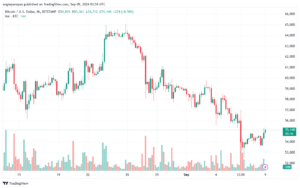 تحليل البتكوين دولار BTCUSD-9-9-2024