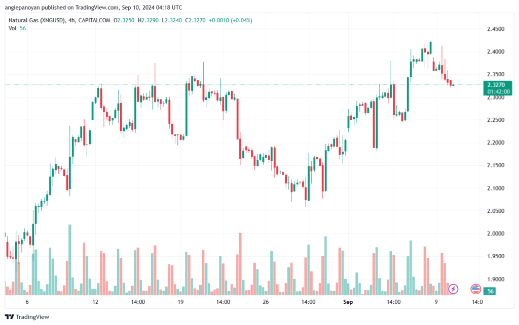 تحليل الغاز الطبيعي NATURAL GAS 10-9-24