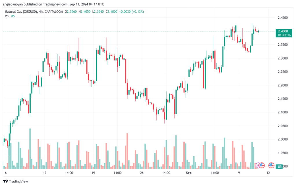تحليل الغاز الطبيعي NATURAL GAS 11-9-24