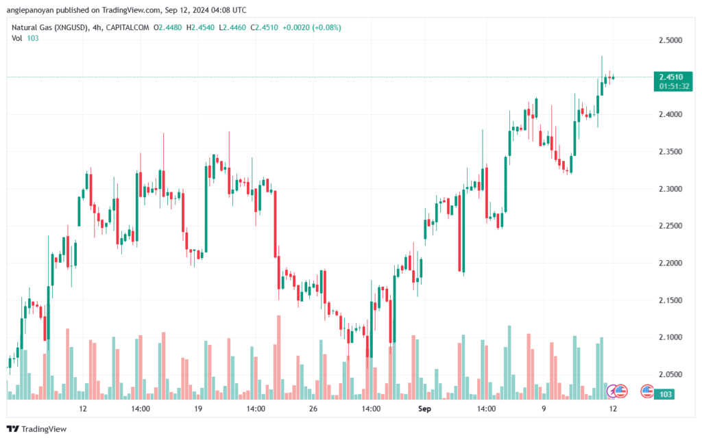 تحليل الغاز الطبيعي NATURAL GAS 12-9-24
