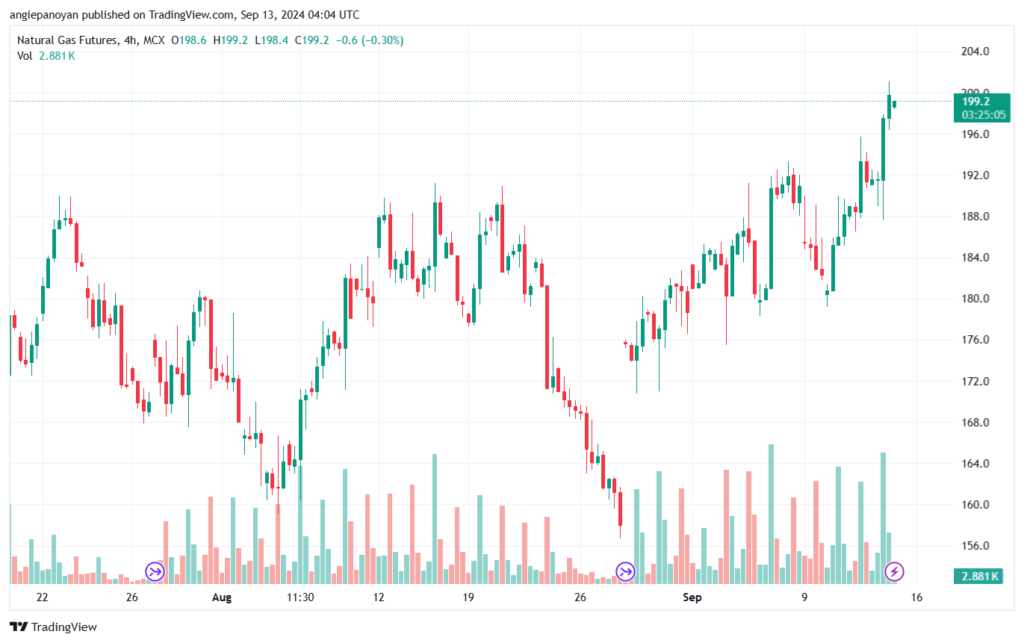 تحليل الغاز الطبيعي NATURAL GAS 13-9-24