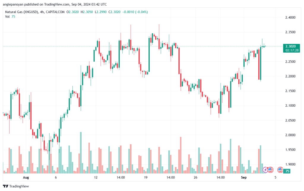 تحليل الغاز الطبيعي NATURAL GAS 4-9-24