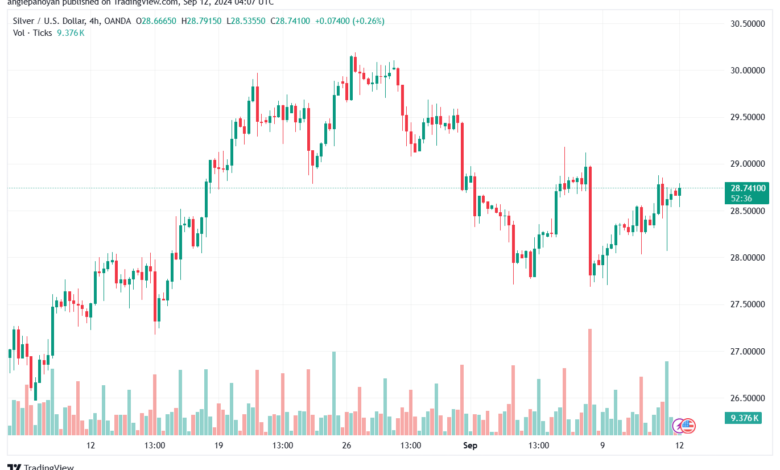 تحليل الفضة 12-9-2024 SILVER XAGUSD