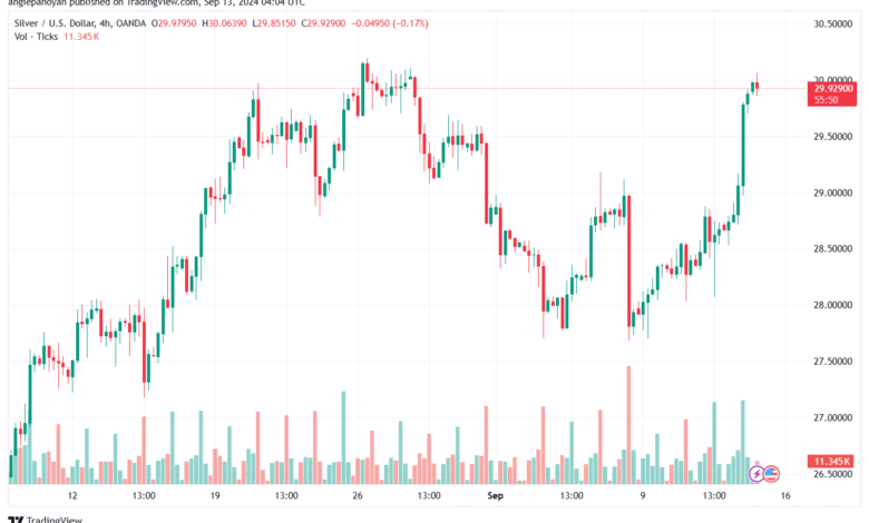 تحليل الفضة 13-9-2024 SILVER XAGUSD