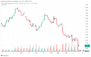 تحليل النفط CRUDE OIL -11-9-2024
