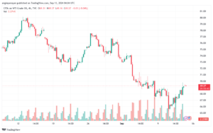 تحليل النفط CRUDE OIL -13-9-2024