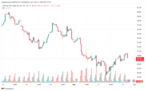 تحليل النفط CRUDE OIL -17-9-2024