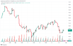 تحليل النفط CRUDE OIL -30-9-2024