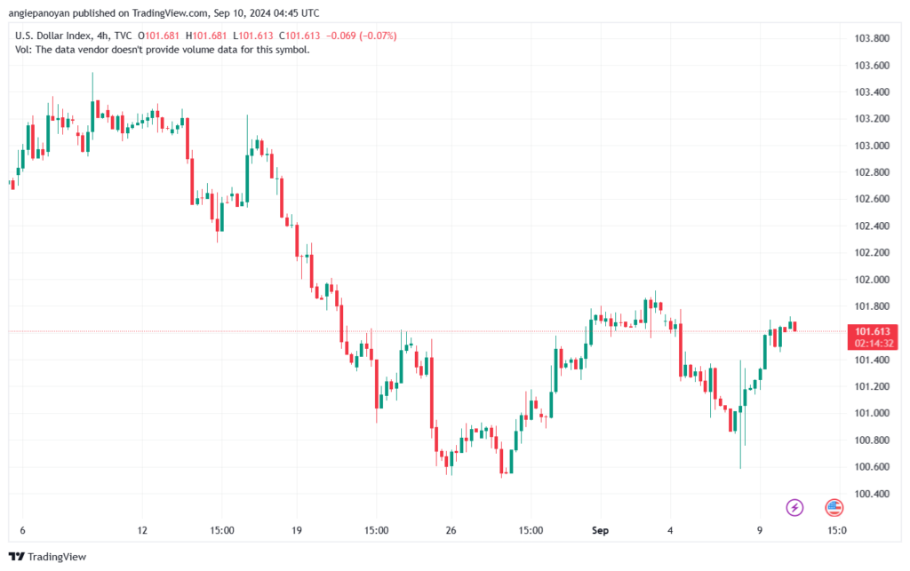 تحليل مؤشر الدولار الامريكي- Dollar Index (DXY)-1092024