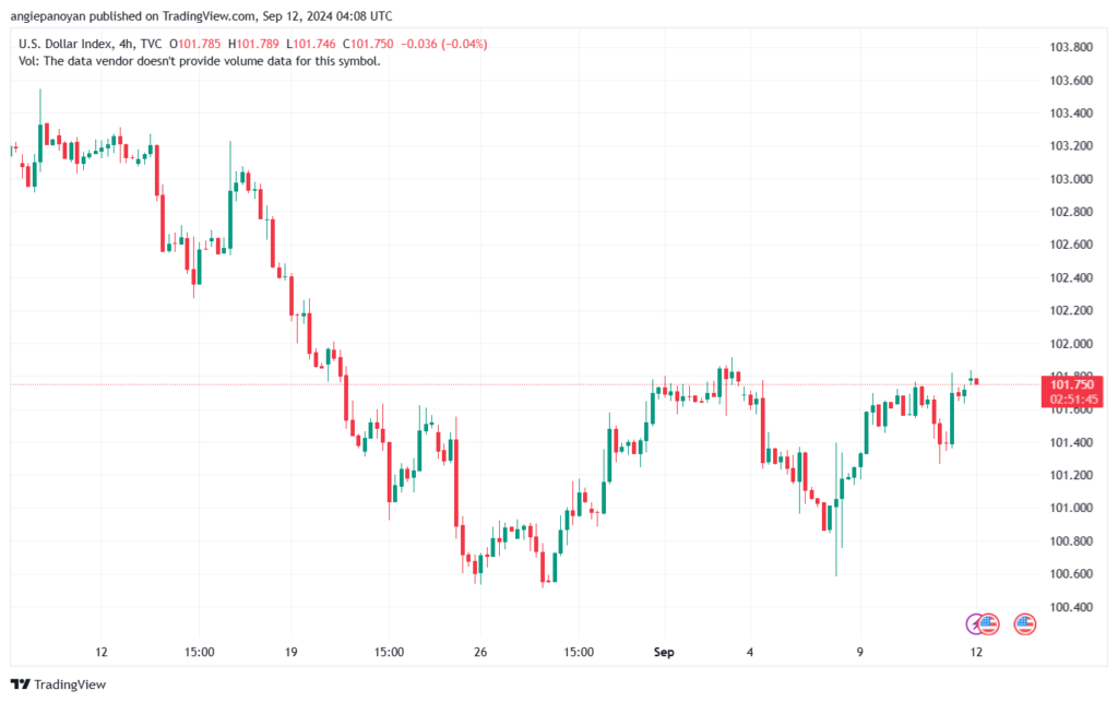 تحليل مؤشر الدولار الامريكي- Dollar Index (DXY)-1292024