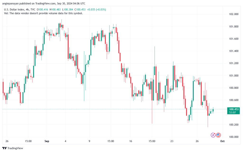 تحليل مؤشر الدولار الامريكي- Dollar Index (DXY)-3092024