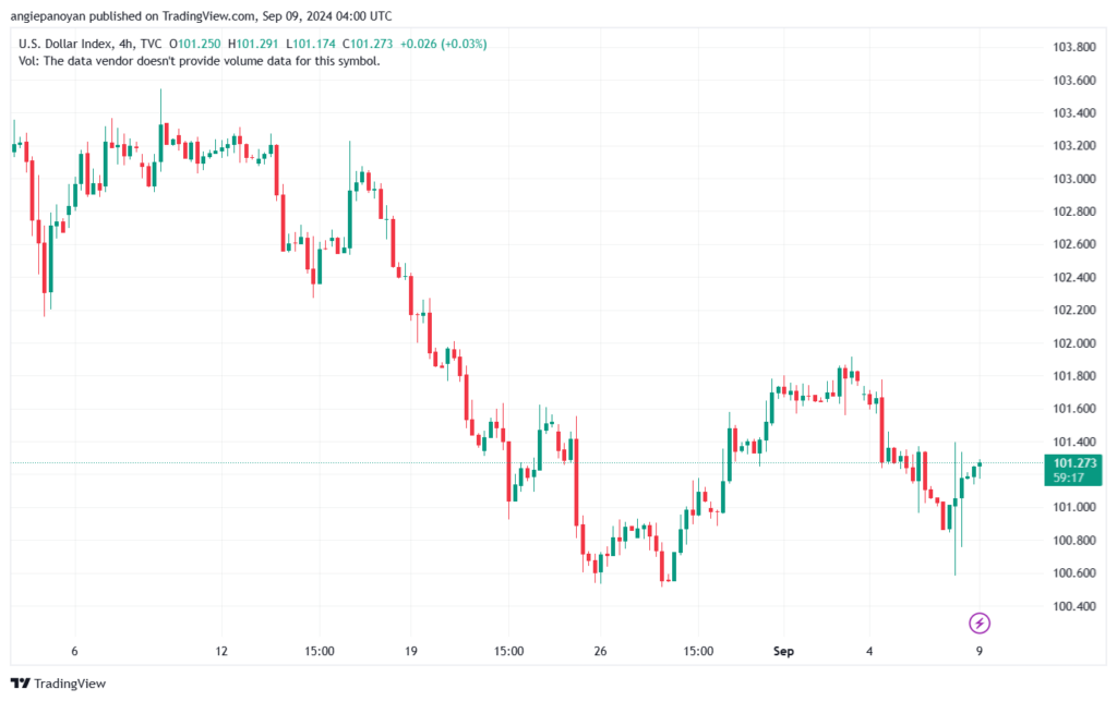 تحليل مؤشر الدولار الامريكي- Dollar Index (DXY)-992024