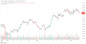 تحليل الفضة 8-10-2024 SILVER XAGUSD