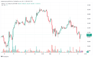 تحليل البتكوين دولار BTCUSD-11-10-2024