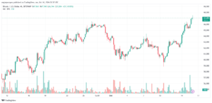 تحليل البتكوين دولار BTCUSD-16-10-2024