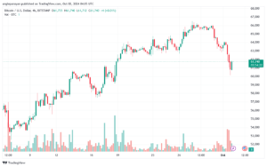 تحليل البتكوين دولار BTCUSD-2-10-2024