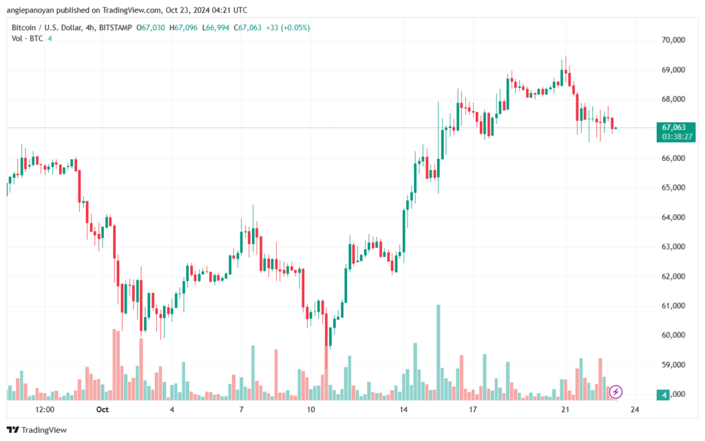 تحليل البتكوين دولار BTCUSD-23-10-2024