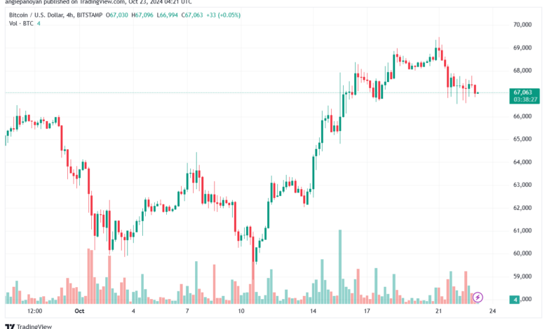 تحليل البتكوين دولار BTCUSD-23-10-2024