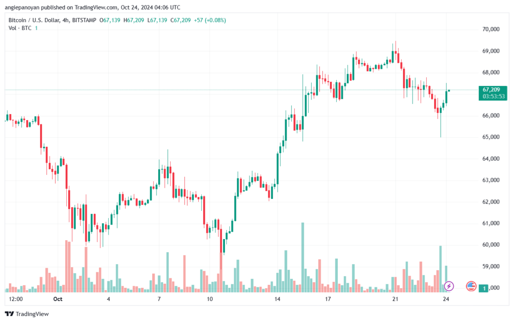 تحليل البتكوين دولار BTCUSD-24-10-2024