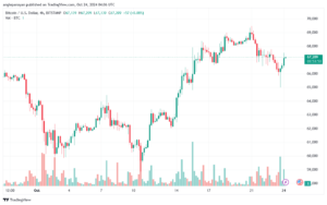 تحليل البتكوين دولار BTCUSD-24-10-2024