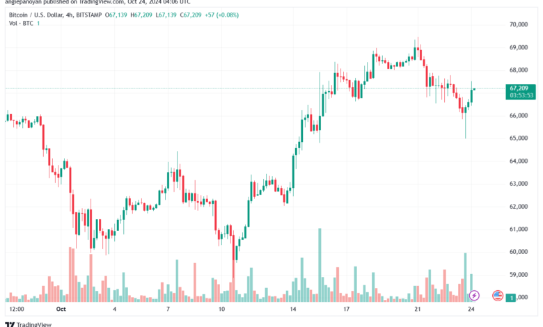 تحليل البتكوين دولار BTCUSD-24-10-2024