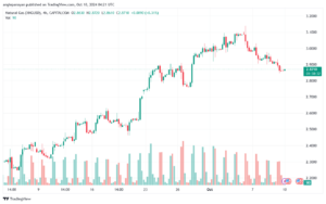 تحليل الغاز الطبيعي NATURAL GAS 10-10-24