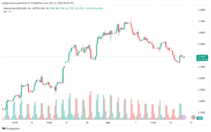 تحليل الغاز الطبيعي NATURAL GAS 16-10-24
