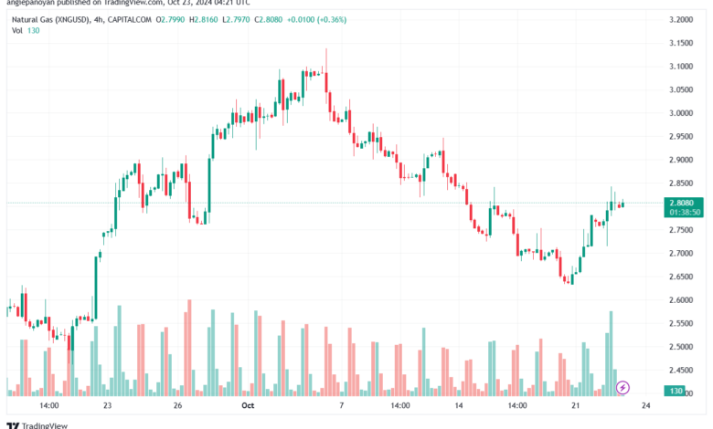 تحليل الغاز الطبيعي NATURAL GAS 23-10-24