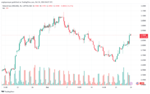 تحليل الغاز الطبيعي NATURAL GAS 24-10-24
